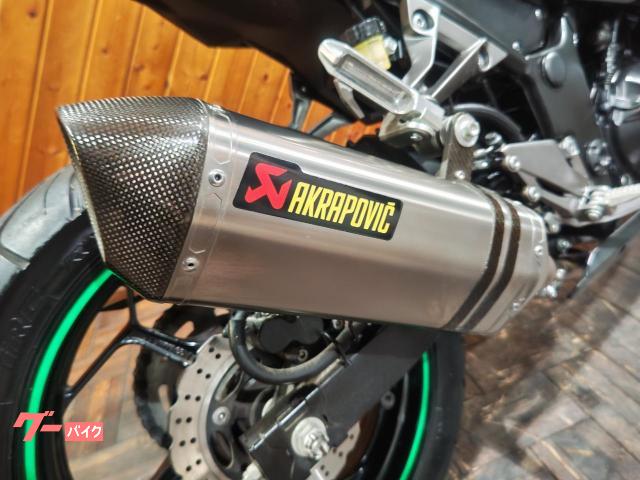 カワサキ Ninja 250 EX250Lモデル スクリーン