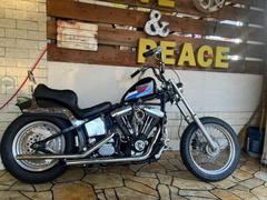 ＨＡＲＬＥＹ−ＤＡＶＩＤＳＯＮ　ＦＸＳＴＣ　ソフテイルカスタム