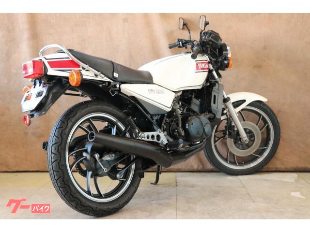 rz250  ほぼフルノーマル 極上 rz250 ほぼフルノーマル 極上 ヤマハ RZ250 初期型フルノーマル