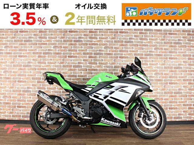 Ｎｉｎｊａ　２５０　スペシャルエディション　ＡＢＳ　スモークスクリーン　ＢＥＥＴマフラー　フェンダーレス