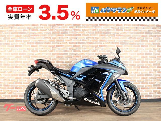 Ninja 250 ETC メットホルダー