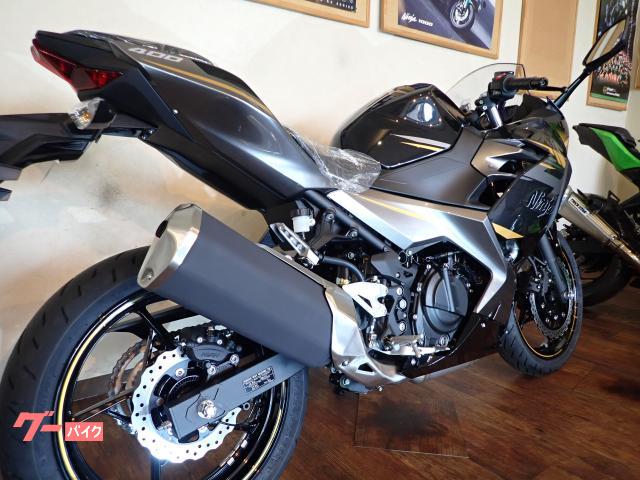 カワサキ Ｎｉｎｊａ　４００の画像（東京都