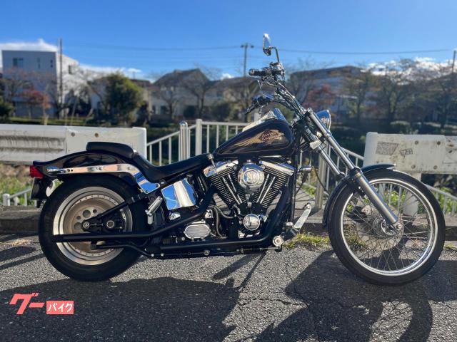 ＦＸＳＴＣ　ソフテイルカスタム　エボリューション　ＳＵキャブ　ドラッグパイプ　マイルメーター　オリジナルペイント