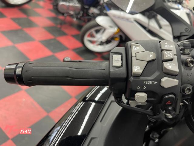 カワサキ Ninja H2 SX SE 2022年モデル 純正サイド