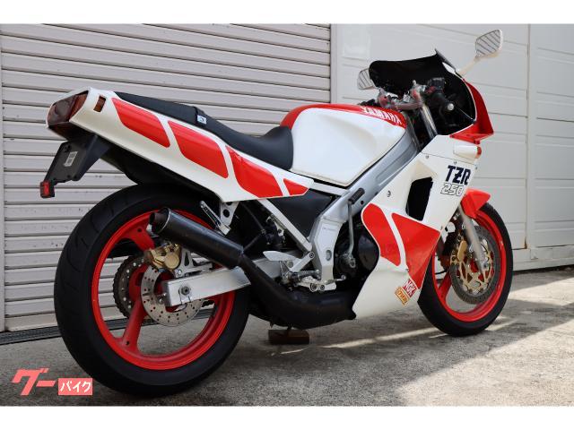 TZR250（1KT）　車両交換・販売どちらも可能です！ TZR250（1KT）車両交換希望です 【公式通販】