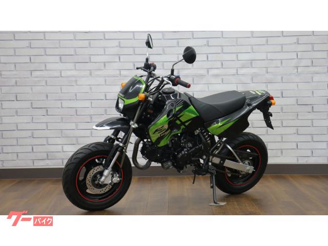 カワサキ KSR110 2008年モデル ノジママフラー タケガワ