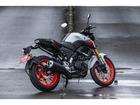 ヤマハ ＭＴ－１５　Ｖｅｒ２．０　国内未発売モデルの画像（群馬県