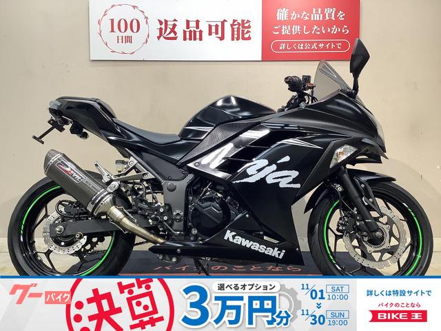 Ｎｉｎｊａ　２５０　ＡＢＳ　ＤＥＶＩＬ　ＥＶＯＬＵＴＩＯＮマフラー　ＡＣＴＩＶＥハンドル　ストライカーバッグステップ　フェンダー