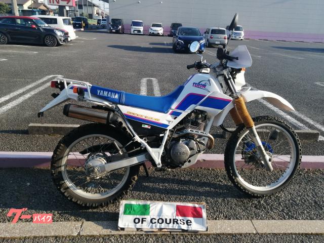 セロー２２５　保険１年付き　青白２トーンカラー　２型