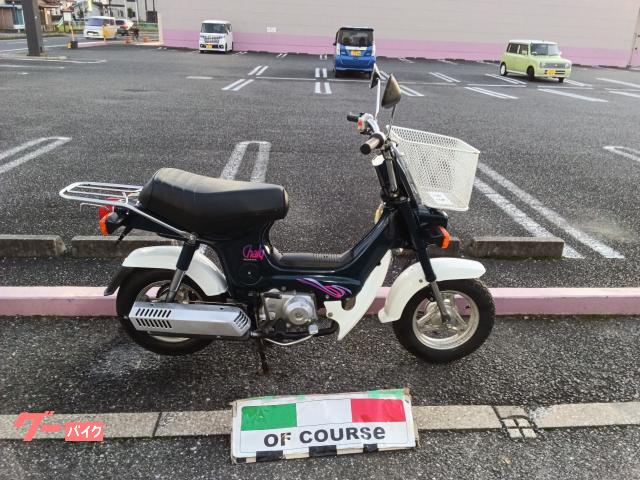 シャリー　保険１年付き　ＣＦ５０