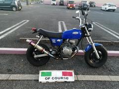 ホンダ　Ａｐｅ　ノーマルマフラー　ＡＣ１６　ブルー　２００４年モデル