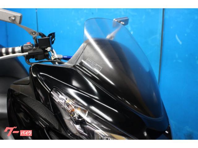 スズキ スカイウェイブ250 タイプM CJ45Aモデル カスタム
