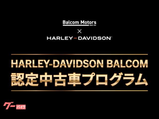 HARLEY－DAVIDSON FLHCS ソフテイル ヘリテイジ