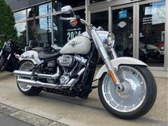 ＨＡＲＬＥＹ−ＤＡＶＩＤＳＯＮ　ＦＬＦＢＳ　ソフテイルファットボーイ１１４　２０１８年モデル　ＥＴＣ　バックレスト　サドルバッグサポート　ディッシュホイール