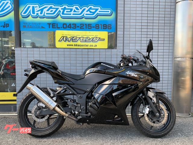 Ｎｉｎｊａ　２５０Ｒ　２００９年モデル　インジェクション　カスタムマフラー　埋め込みウインカー　マルチバー　ＵＳＢ電源