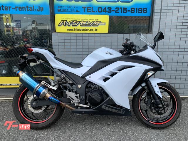 Ｎｉｎｊａ　２５０　２０１３年モデル　ＥＴＣ　グリップヒーター　カスタムマフラー　ＨＩＤヘッドライト　サドルバッグサポート　ＵＳＢ