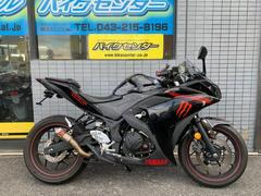 ヤマハ　ＹＺＦ−Ｒ２５　ＡＢＳ　２０１５年モデル　ＲＧ１０Ｊ型　インジェクション　カスタムマフラー　フェンダーレス　エンジンスライダー