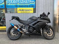 カワサキ　Ｎｉｎｊａ　２５０　ＡＢＳ　２０１５年モデル　カスタムマフラー　フェンダーレス　エンジンスライダー　スモークスクリーン　日本生産