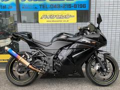 カワサキ　Ｎｉｎｊａ　２５０Ｒ　２００９年モデル　カスタムマフラー　ＬＥＤヘッドライト　埋込ウインカー　フェンダーレス　インナーフェンダー
