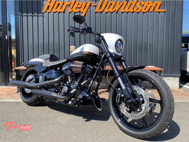 ＨＡＲＬＥＹ－ＤＡＶＩＤＳＯＮ ＣＶＯ ＦＸＳＥ プロストリート