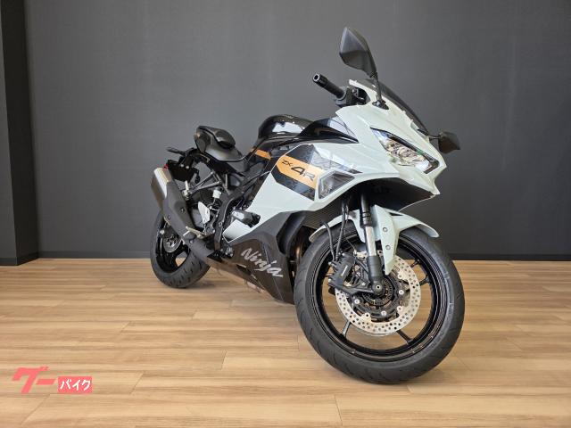 ※hatakeさま専用※ Webike | ARCHI アーキ ハニカムヘッドライトステーカバー