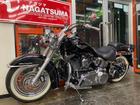 ＨＡＲＬＥＹ－ＤＡＶＩＤＳＯＮ ＦＬＳＴＮ　ソフテイルデラックス　２０１１年モデル　後期型　１５８４ｃｃ　メッキパーツ付　エンジンガード付の画像（千葉県