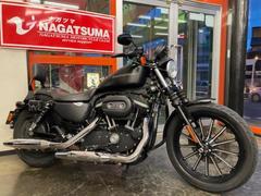 ＨＡＲＬＥＹ−ＤＡＶＩＤＳＯＮ　ＸＬ８８３Ｎ　アイアン　２０１０年モデル　分離型ＥＴＣ　デタッチャブル式バックレスト　２人乗り仕様　エンジンガード　サドルバック