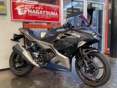 カワサキ　Ｎｉｎｊａ　２５０　ＡＢＳ　２０２３年モデル　ワンオーナー　ＥＸ２５０Ｙ型　ＵＳＢ電源　スライダー　スクリーン