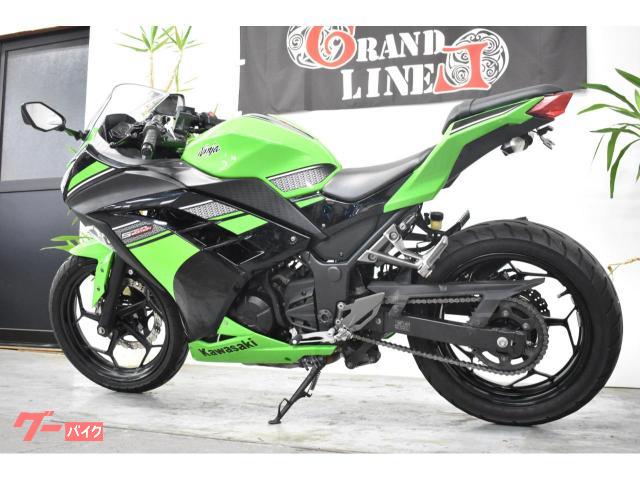 カワサキ Ｎｉｎｊａ２５０Ｌ スペシャルエディション ＡＢＳ付き ２０１４年式 ライムグリーン 純正テール・ウインカー 社外マフラー｜グランドライン東京店  ＧＲＡＮＤ ＬＩＮＥ Ｇｒｏｕｐ｜新車・中古バイクなら【グーバイク】