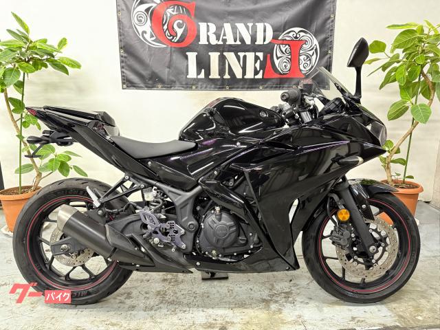 ＹＺＦ−Ｒ２５　フェンダーレス　リアシートカバー　純正マフラー　リムテープ　２０１５年式　フルブラック