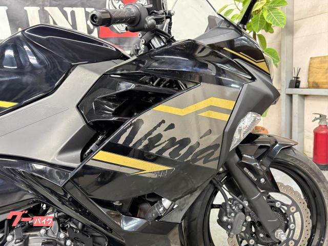 カワサキ Ninja 400 LEDヘッドライト 純正マフラー