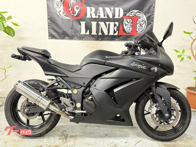 Ｎｉｎｊａ　２５０Ｒ　極太マフラー　フェンダーレス　ＬＥＤテール　フルマットブラック塗装　２００９年式　３１馬力
