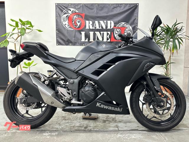 Ninja 250L 純正マフラー フル塗装 2014年式 マットブラック
