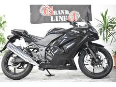 カワサキ　Ｎｉｎｊａ　２５０Ｒ　２００９年式　純正マフラー　純正ヘッドライトバルブ　ブラック