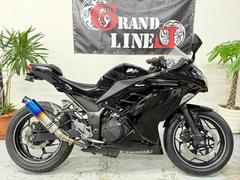 カワサキ　Ｎｉｎｊａ　２５０Ｌ　社外マフラー　フル塗装　２０１３年式　３１馬力　フルブラック
