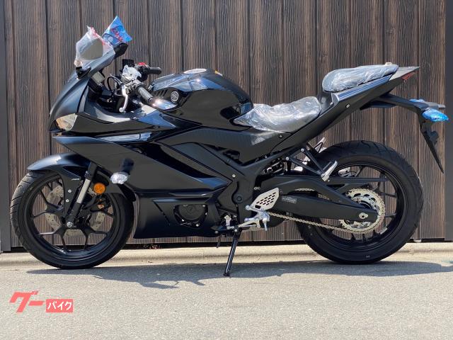 ヤマハ ＹＺＦ－Ｒ２５　ＡＢＳの画像（東京都
