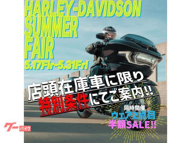 ＨＡＲＬＥＹ－ＤＡＶＩＤＳＯＮ パンアメリカ１２５０スペシャル