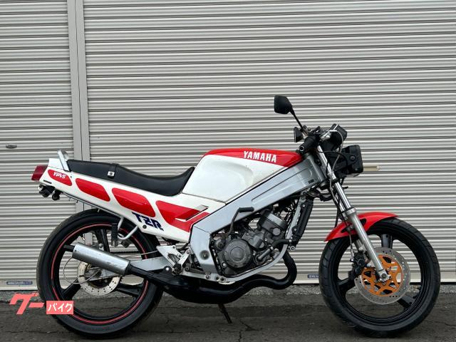 ＴＺＲ１２５