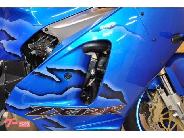 カワサキ Ninja ZX－12R・ライトカスタム車｜サイレン