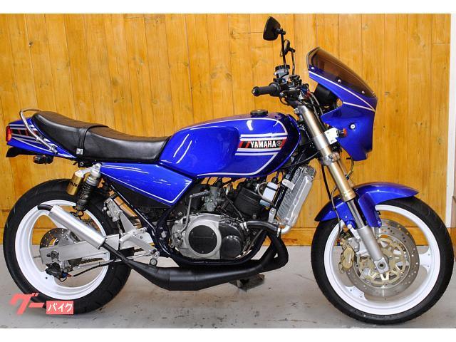 ＲＺ２５０・３５０ｃｃ・フルカスタム車