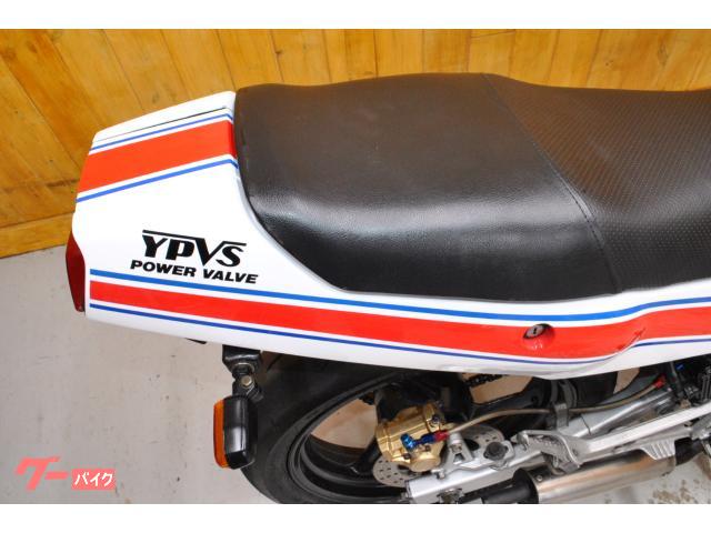 ヤマハ RZ250R・最終3HM・フルカスタム車・フォークインナー