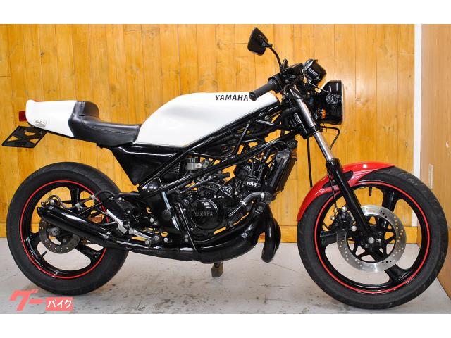 ＳＤＲ・ＴＺルックカスタム・前後タイヤ新品交換他各部整備保証付き