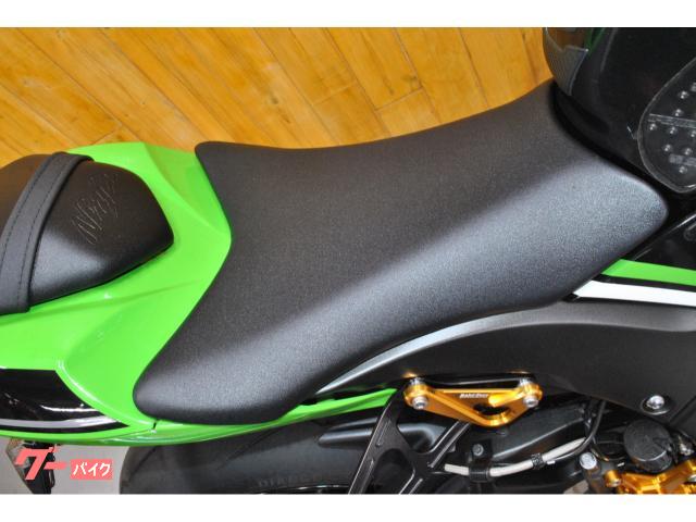 カワサキ Ninja ZX－10R・マレーシア仕様・社外外装