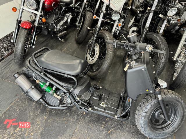 ホンダ ズーマー ロンホイ LEDヘッドライト マイクロウィンカー