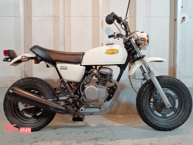 Ape オイル プラグ チェーン新品 縦型エンジン 5速MT 4サイクルミニ