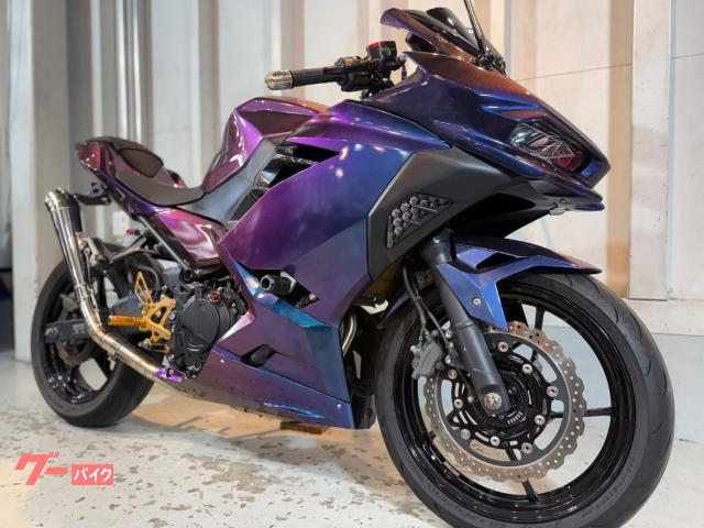 車両情報:カワサキ Ninja 250 | BーPOWER'S ビーパワーズ | 中古バイク