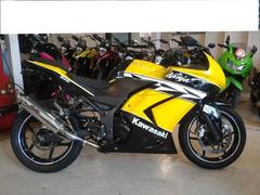 カワサキ　Ｎｉｎｊａ　２５０Ｒ　ＥＴＣ車載器　フェンダーレス　ビートマフラー　ＬＥＤウィンカー　ＹＳＳリアショック　ノンスリップシート