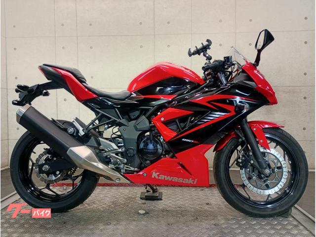 Ｎｉｎｊａ　２５０ＳＬ　２０１５年モデル　ＢＸ２５０Ａ　国内モデル　単気筒エンジン　ＥＴＣ車載器　６５２１４