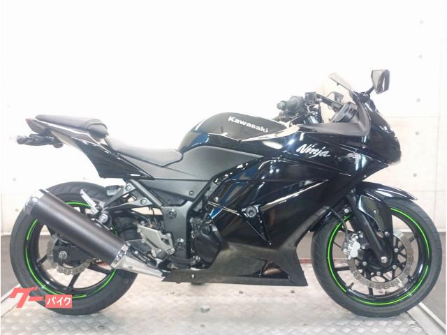 Ｎｉｎｊａ　２５０Ｒ　ＥＸ２５０Ｋ　２０１０年モデル　エンジンスライダー　フェンダーレス　ハンドルグリップ　６９９５９