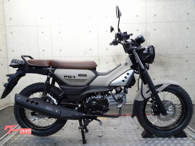 ＰＧ−１　並行輸入新車　ベトナム仕様　ノーマル　７０９８７